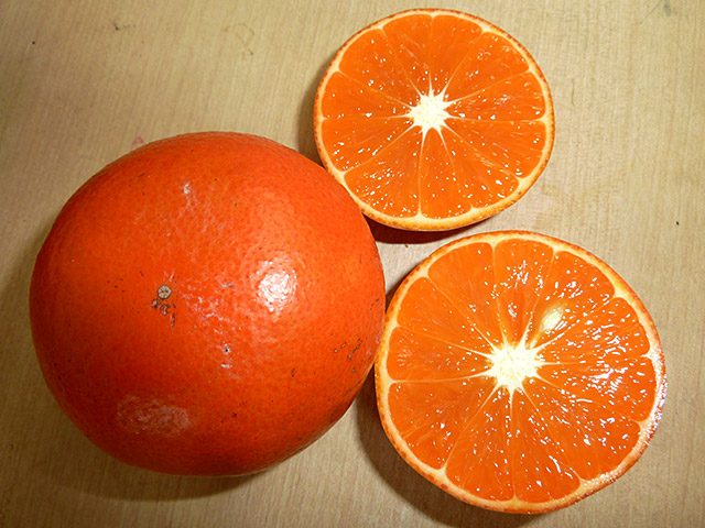 �݂͂�@�y2�N���z�i�ڂ��؁E�f�@��j