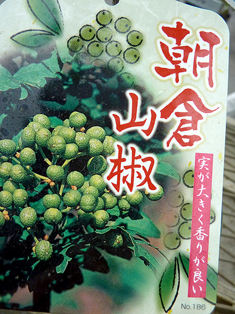 qR@炳񂵂傤@(|bg)